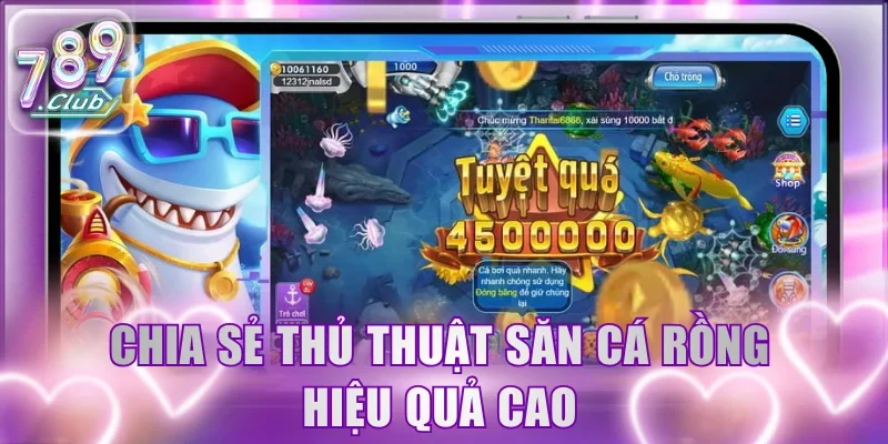 Chia sẻ thủ thuật săn cá Rồng hiệu quả cao